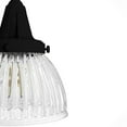thumbnail image 7 of Hunter Cypress Grove with Clear Holophane Glass 4 Light Chandelier Ceiling Light Fixture, 7 of 10