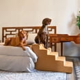 thumbnail image 4 of NOAH & PAW 3-5 Step Dog Stairs, Designed for Small-Medium Breeds, 4 of 6