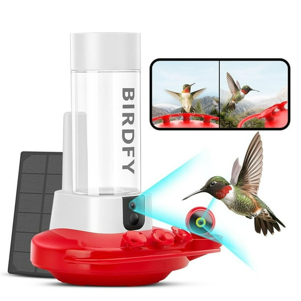 Birdfy Smart Hummingbird Feeder