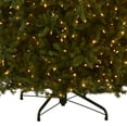 thumbnail image 6 of National Tree Company 10' Dunhill Fir Pre-Lit Christmas Tree, 6 of 8