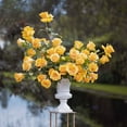 thumbnail image 3 of Member's Mark Ecuadorian Premium Roses, choose color variety and stem count, 3 of 6