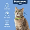thumbnail image 10 of PetArmor Plus Flea & Tick Protection for Cats, 8-Month Supply, 10 of 13