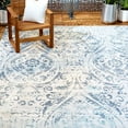 thumbnail image 1 of Nicole Miller New York Patio Sofia Juniper Area Rug, 1 of 9