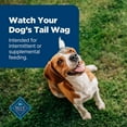 thumbnail image 8 of Blue Buffalo Nudges Grillers Steak Flavored Natural Dog Treats, 48 oz., 8 of 9