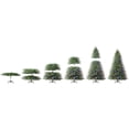 thumbnail image 9 of Member's Mark 9' Linden Fir Pre-Lit Christmas Tree, 9 of 9