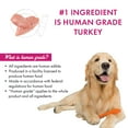 thumbnail image 4 of Member's Mark Turkey Stew with Vegetables Wet Dog Food, 11 oz., 24 boxes, 4 of 9