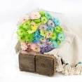 thumbnail image 4 of Member's Mark Pastel Pom Bunch, 12 stems, 4 of 4