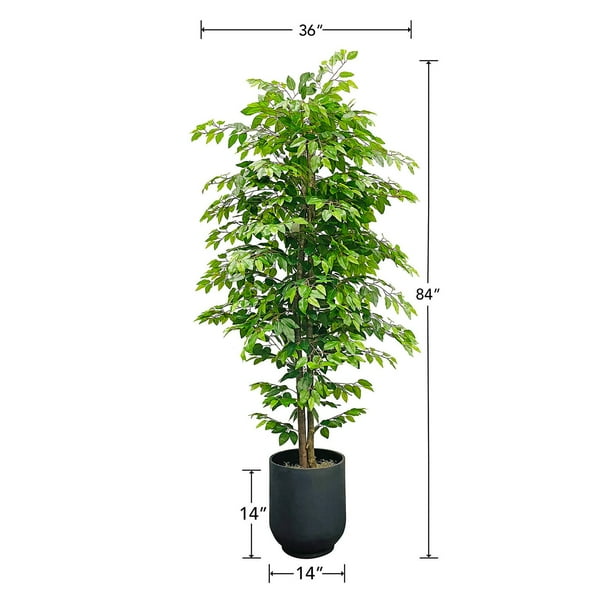 Artificial 7.5' Ficus Tree in Classic Black Ceramic Pot - Samsclub.com