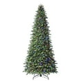 thumbnail image 3 of Member's Mark 12' Augusta Pine Pre-Lit Christmas Tree, 3 of 9