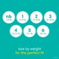 thumbnail image 3 of Pampers Baby Dry Diapers, Sizes 1-7, 3 of 11