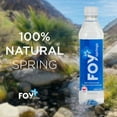 thumbnail image 6 of FOY Springs Naturally Alkaline Bottled Spring Water, 1 L, 12 pk., 6 of 8