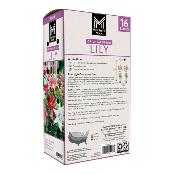 Member's Mark Lily Oriental Blend Dormant Bulbs, 16pk - Samsclub.com