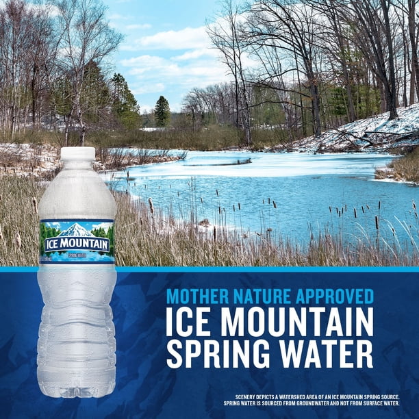 Ice Mountain 100% Natural Spring Water 16.9 fl. oz. 40 pk