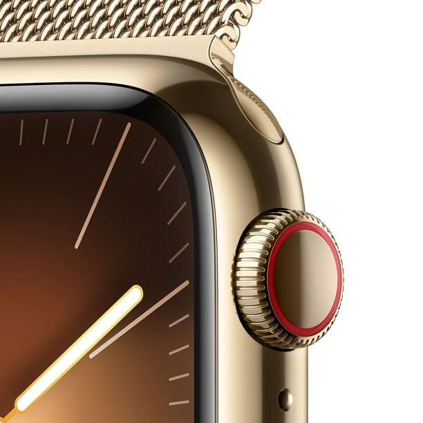 Apple Watch Series 9 GPS + Cellular 41mm Stainless Steel Blood