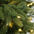 thumbnail image 4 of Member's Mark 7.5' Douglas Fir Christmas Tree, 4 of 10