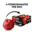thumbnail image 3 of Pomegranate, 4 ct., 3 of 6