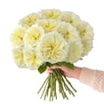 thumbnail image 5 of Member's Mark Garden Roses, 36 stems, Choose color variety, 5 of 6