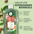 thumbnail image 2 of Herbal Essences Argan Oil & Green Tea Conditioner, 33.8 fl. oz., 2 of 10