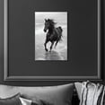thumbnail image 3 of Graceful Horse Black and White Canvas Print by Oliver Gal Prints, 3 of 5