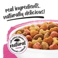 thumbnail image 7 of Purina Beneful Originals, Natural Salmon Dog Food, Dry Formula, 36 lbs., 7 of 12