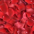 thumbnail image 2 of Member's Mark Roses and Petals Combo, 75 stems+ 2,000 petals, choose color, 2 of 4