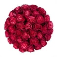 thumbnail image 2 of Member's Mark Farm Fresh Velvet Roses, choose color and stem count, 2 of 9