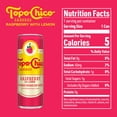 thumbnail image 2 of Topo Chico Sabores Raspberry with Lemon Cans, 12 fl. oz., 24 pk., 2 of 4