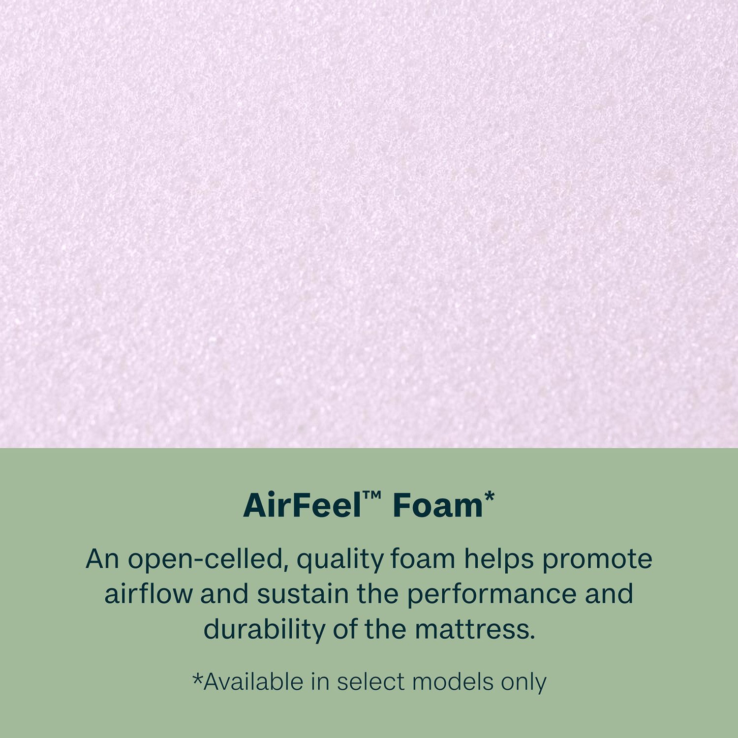Close-up of foam texture and AirFeel Foam text