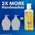 thumbnail image 5 of Safeguard Liquid Hand Soap Ultimate Care Pack (15.5 fl. oz. 3 pk.), 5 of 9