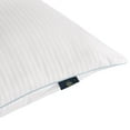 thumbnail image 3 of Serta 2-Pack Comfort 101 Bed Pillows, Assorted Sizes, 3 of 6