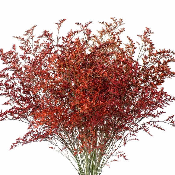Member's Mark Limonium, 15 bunches, Choose color