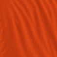 thumbnail image 3 of Logo Brands Cleveland Browns Twin/Twin XL Comforter Set, 3 of 5