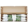 thumbnail image 3 of Member's Mark Spray Roses, Choose color variety and stem count, 3 of 3