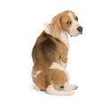 thumbnail image 3 of Character Pet Family Sleep, 3 of 7