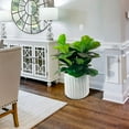 thumbnail image 4 of Artificial Premium Fiddle Leaf Fig Plant in Off White Pot, 4 of 5