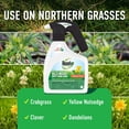 thumbnail image 5 of Roundup For Lawns1 with QuickHand Sprayer, 1.5L, 5 of 11
