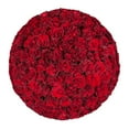 thumbnail image 1 of Member's Mark Ecuadorian Premium Roses, choose color variety and stem count, 1 of 6