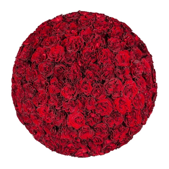 Member's Mark Ecuadorian Premium Roses, choose color variety and stem count