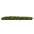 thumbnail image 5 of Select Surfaces Evergreen Recycled Artificial Grass, 5 of 5