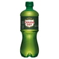 thumbnail image 3 of Canada Dry Ginger Ale Soda, 20 fl. oz., 24 pk., 3 of 10
