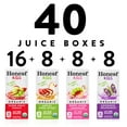 thumbnail image 6 of Honest Kids Organic Fruit Juice Drink Boxes Variety Pack 6 fl. oz., 40 pk., 6 of 6