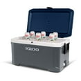 thumbnail image 6 of Igloo MaxCold Latitude Ice Chest Cooler, Choose Size, 6 of 9