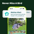 thumbnail image 5 of Birdfy Solar Powered Bird Feeder 2 Pro with AI Camera, 5 of 10