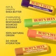 thumbnail image 3 of Burt's Bees Garden Party Moisturizing Lip Balm Value Pack, 10 Tubes, 0.15 oz. ea., 3 of 11
