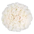 thumbnail image 1 of Member's Mark Roses, choose color and stem count, 1 of 9