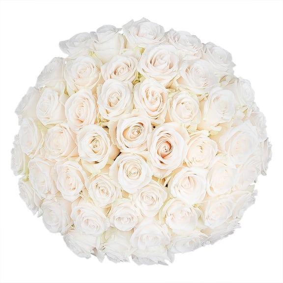Member's Mark Roses, choose color and stem count