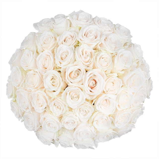 Member's Mark Roses, choose color and stem count