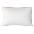 thumbnail image 2 of Sealy Dreamlife 2-Pack Down-Alt Bed Pillow, Assorted Sizes, 2 of 8