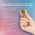 thumbnail image 4 of Akasha Superfoods Sea Moss Glow Gummies, 90ct., 4 of 4
