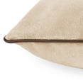 thumbnail image 4 of Member's Mark Dutch Velvet 2-Pack Decorative Pillows, 22" x 22", 4 of 6